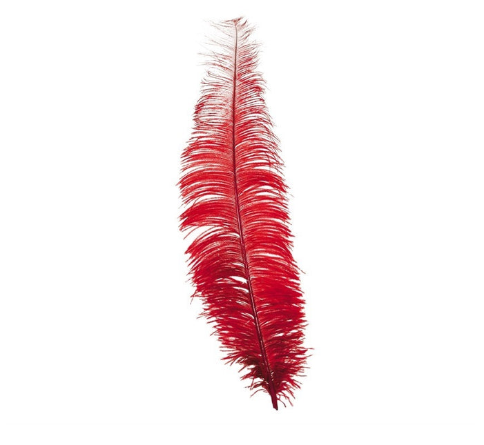Plumes d'autruche rouges 40cm 12pcs