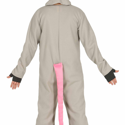 Costume de souris