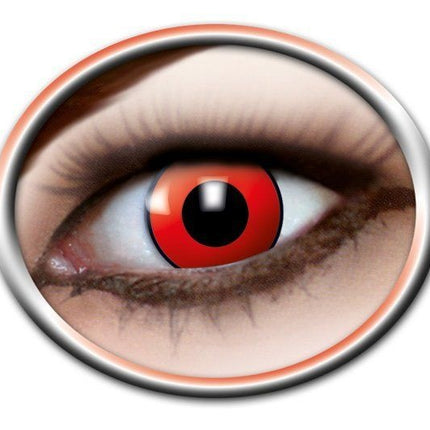 Lentilles rouges de Manson 3 mois