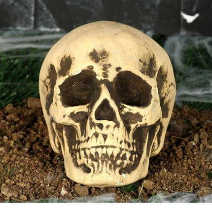 Crâne d'Halloween 22cm