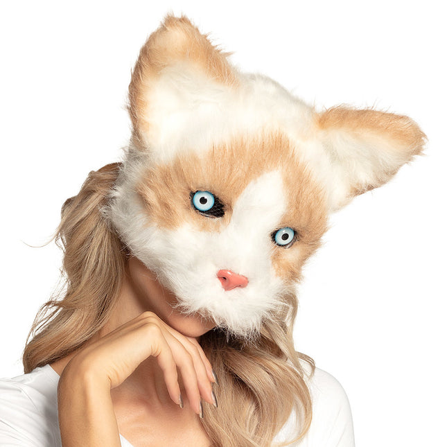 Chat à demi-masque