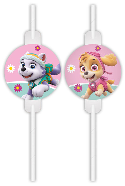 Paw Patrol pailles Skye et Everest 4pcs