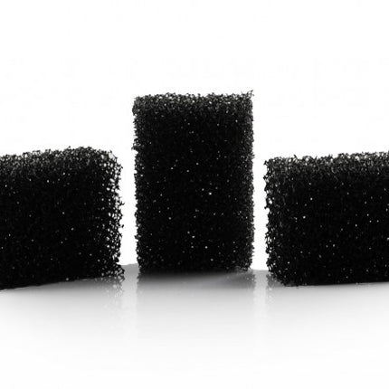 Éponge noire Dot 5pcs