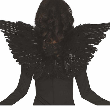 Ailes noires 62cm