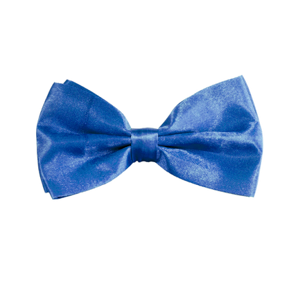 Nœud papillon bleu