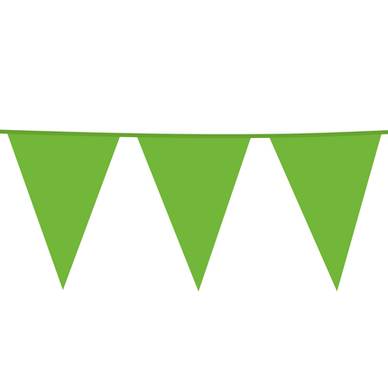 Guirlandes XL vert clair 10m
