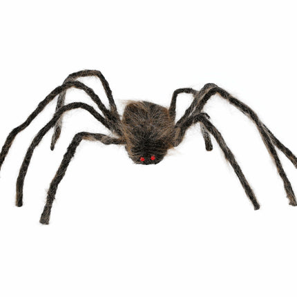 Fausse araignée brune 75cm