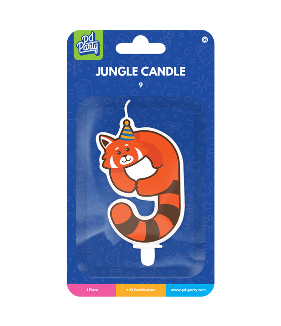 Bougie 9 ans Raccoon
