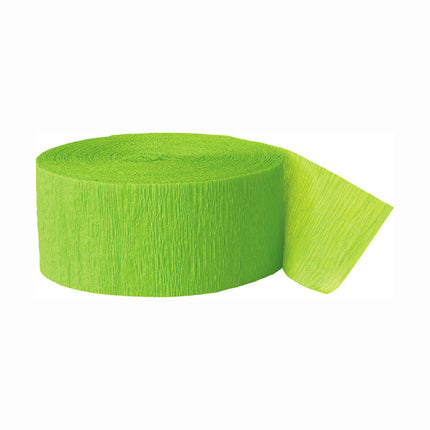 Guirlande en crêpe vert tilleul 24m