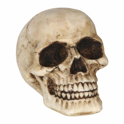 Décoration de table Halloween Crâne 8cm