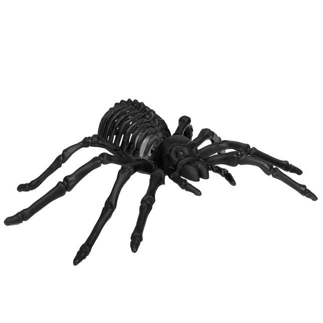 Halloween Led Spider Skeleton Black 22cm