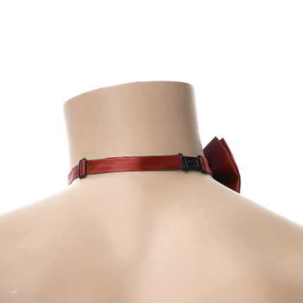 Nœud papillon rouge