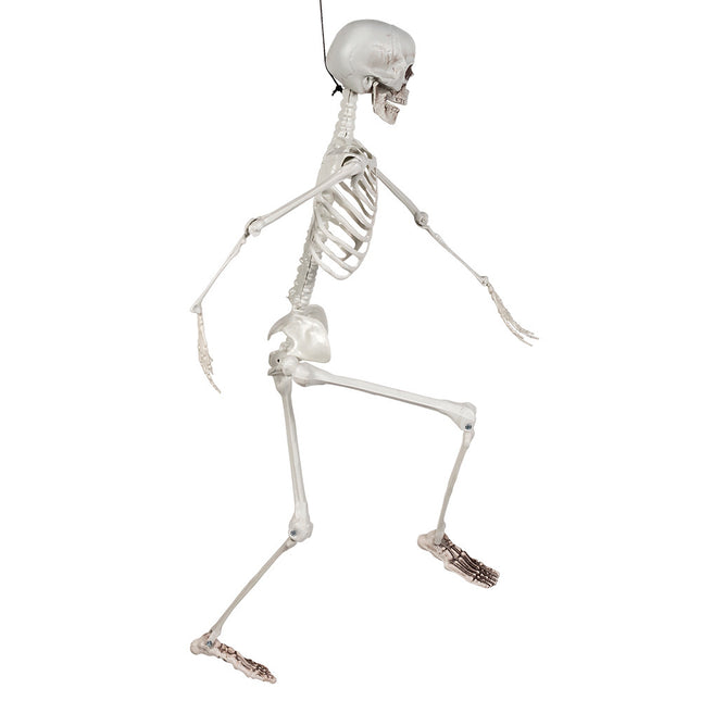 Halloween Squelette Blanc 90cm
