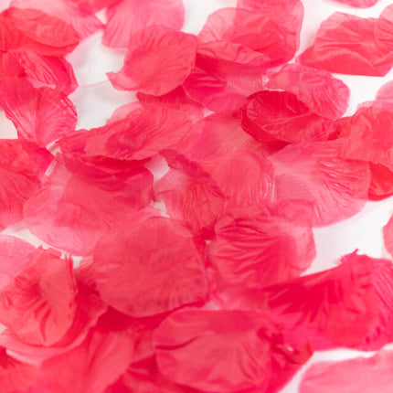 Pétales de rose rose 500pcs
