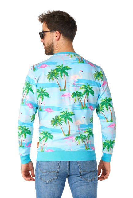 Pull Hawaii Flamingo Hommes <tc>OppoSuits</tc>