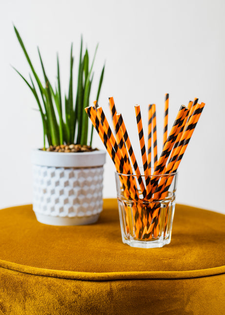 Pailles en papier orange/noir rayées 19.7cm 20pcs