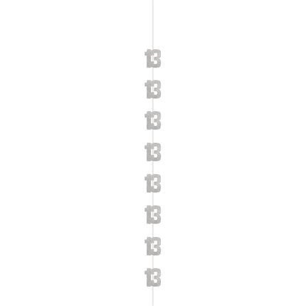 13 ans Décoration suspendue Argent 1.52m