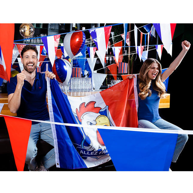 Ligne de drapeau France 10m