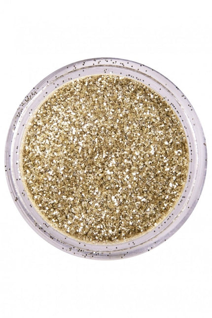 PXP Poudre scintillante Dutch Silver 2.5gr
