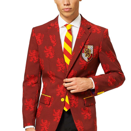 Costume Harry Potter pour hommes