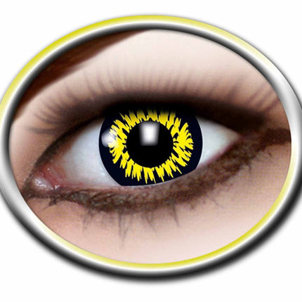 Lentilles de loup-garou 3 mois