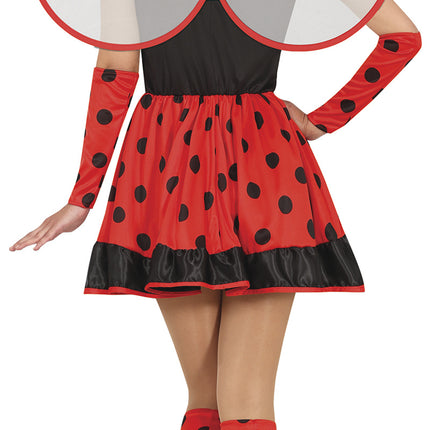 Robe Lady Ladybird