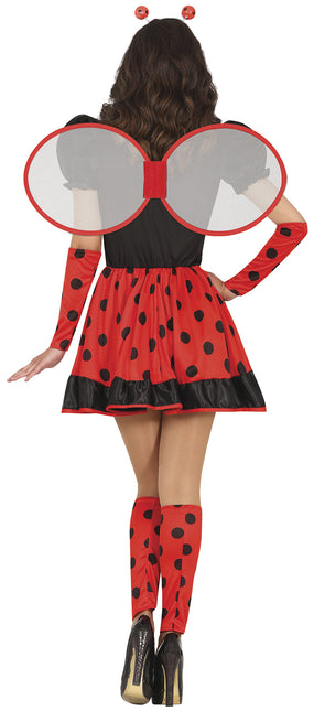 Robe Lady Ladybird