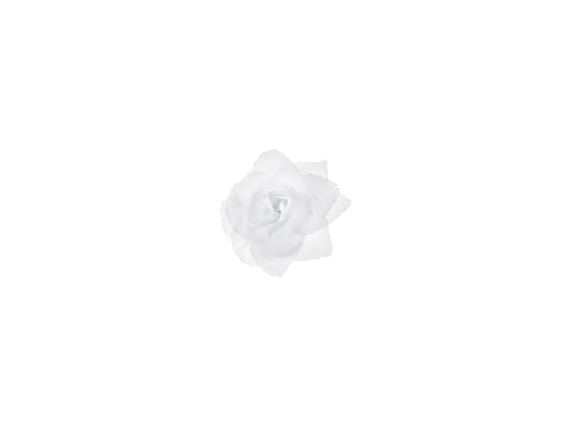 Décoration de voiture Roses blanches 9cm 24pcs