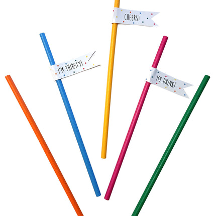 Pailles colorées 8cm 20pcs