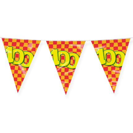 Ligne de drapeau 100 ans colorée 10m