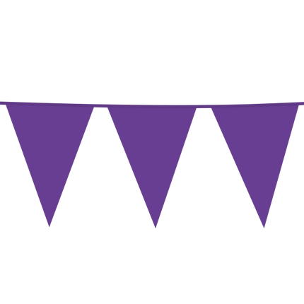 Guirlande violette Xl 10m