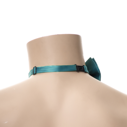 Nœud papillon turquoise