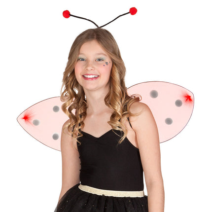 Ailes de coccinelle 2 pièces