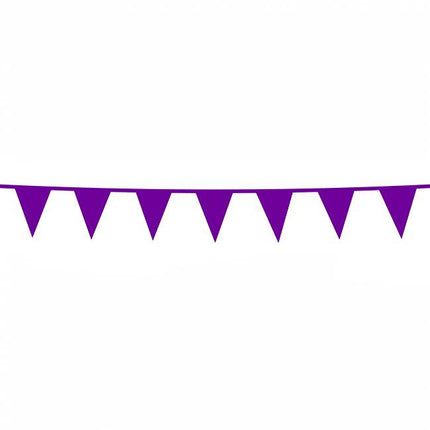 Guirlandes violettes Mini 3m