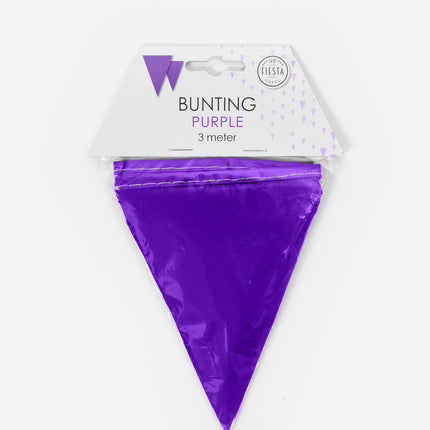 Guirlandes violettes Mini 3m