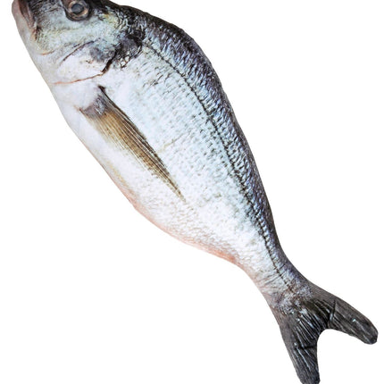 Faux poisson gris 55cm