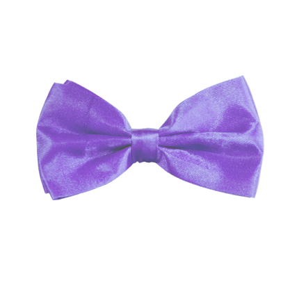 Nœud papillon violet