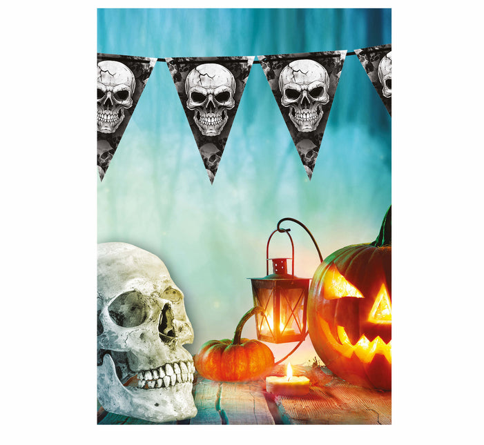 Guirlande d'Halloween Squelette 3m