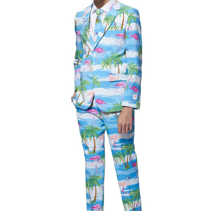 Le garçon en costume d'Hawaï