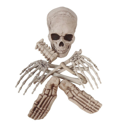 Squelette d'Halloween