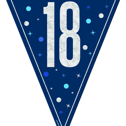 18 ans Guirlande bleue 2.5m