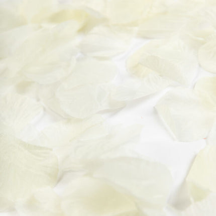 Pétales de rose beige 500pcs
