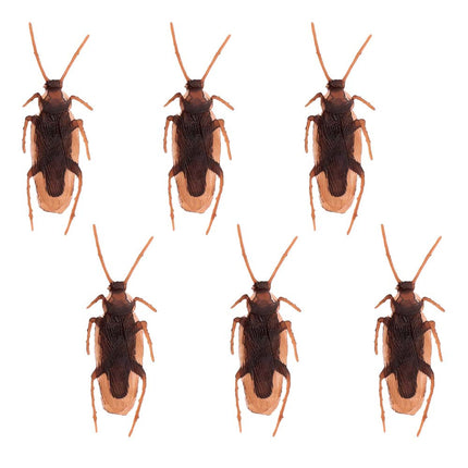 Cafards d'Halloween 7.5cm 6pcs