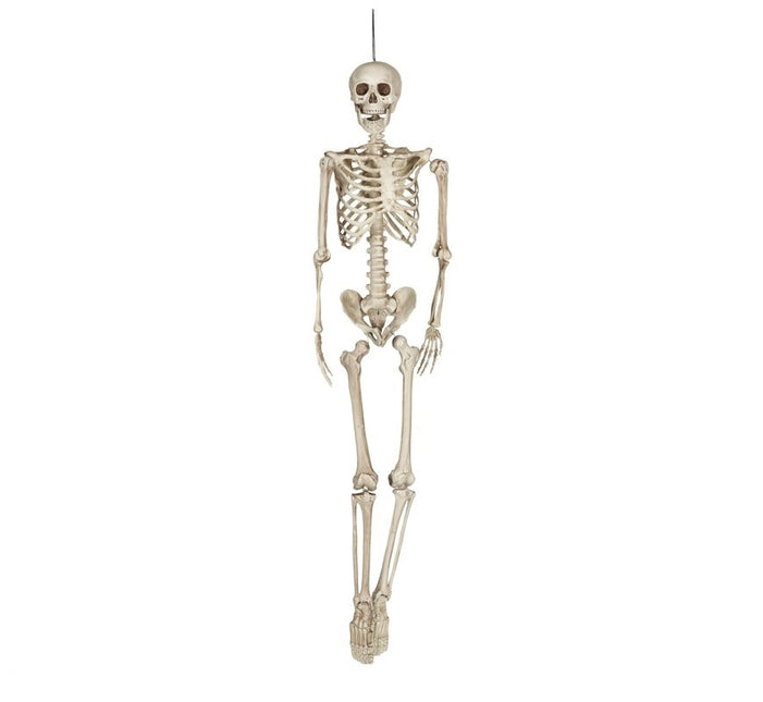 Squelette d'Halloween 1,6 m
