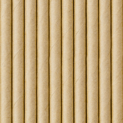 Pailles en papier carton 19.5cm 10pcs