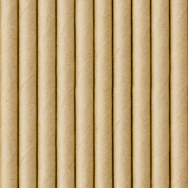 Pailles en papier carton 19.5cm 10pcs