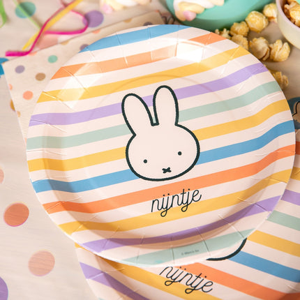 Assiettes colorées Miffy 23cm 8pcs