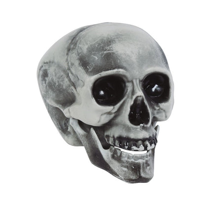 Crâne d'Halloween Gris 20cm