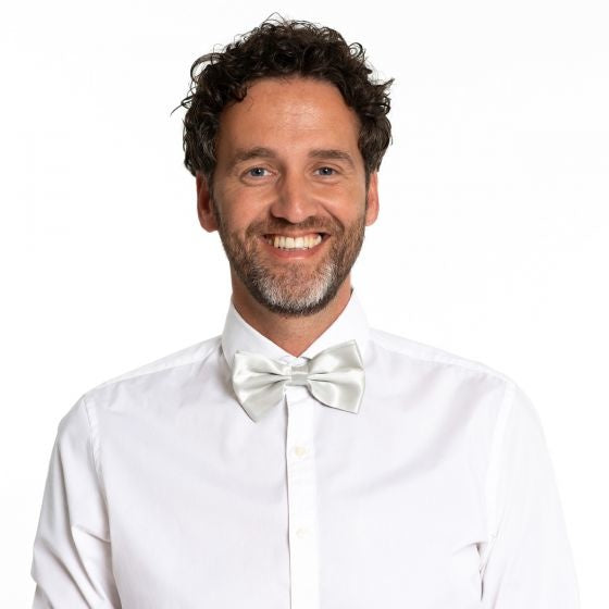 Nœud papillon argenté