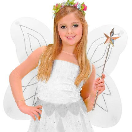 Papillon aux ailes blanches